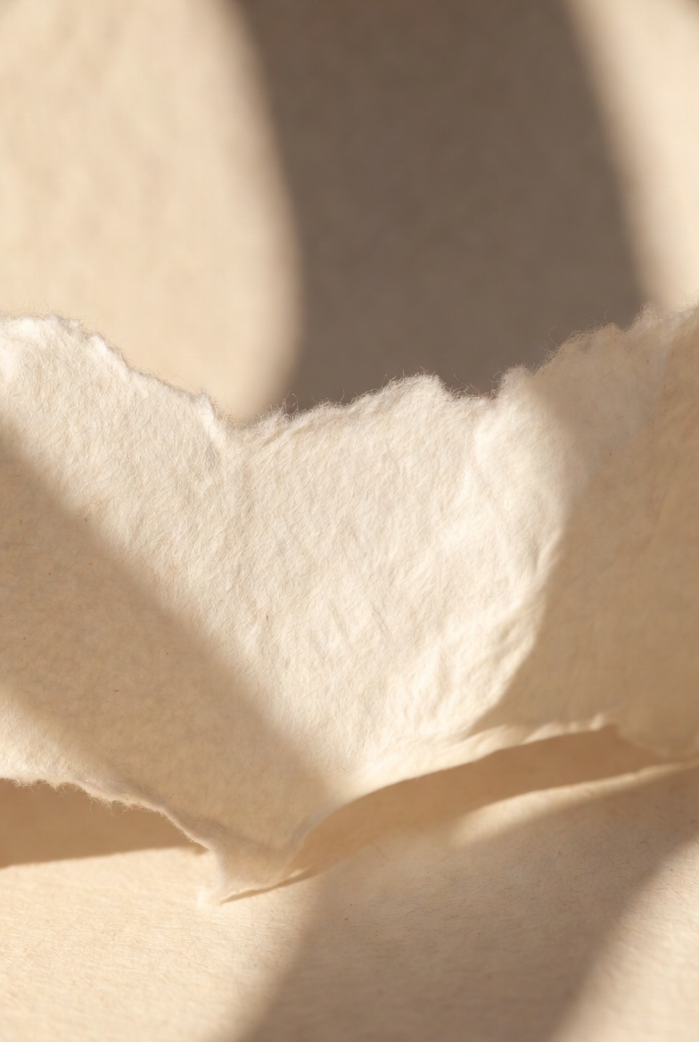 Extreme close-up of handmade paper texture catching soft natural sidelight. Visible fibers and delicate surface details in warm neutral tones.